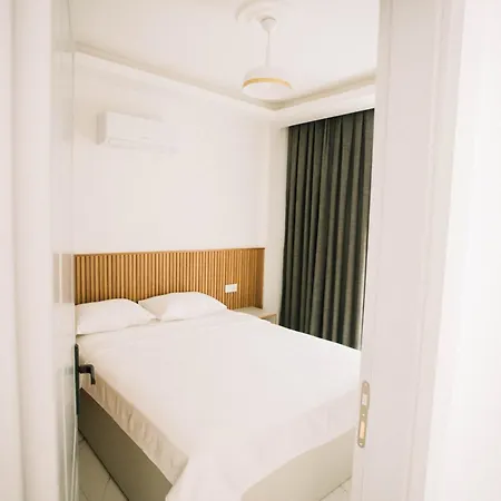 Vira Premium 교젝