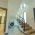 Vira Premium *